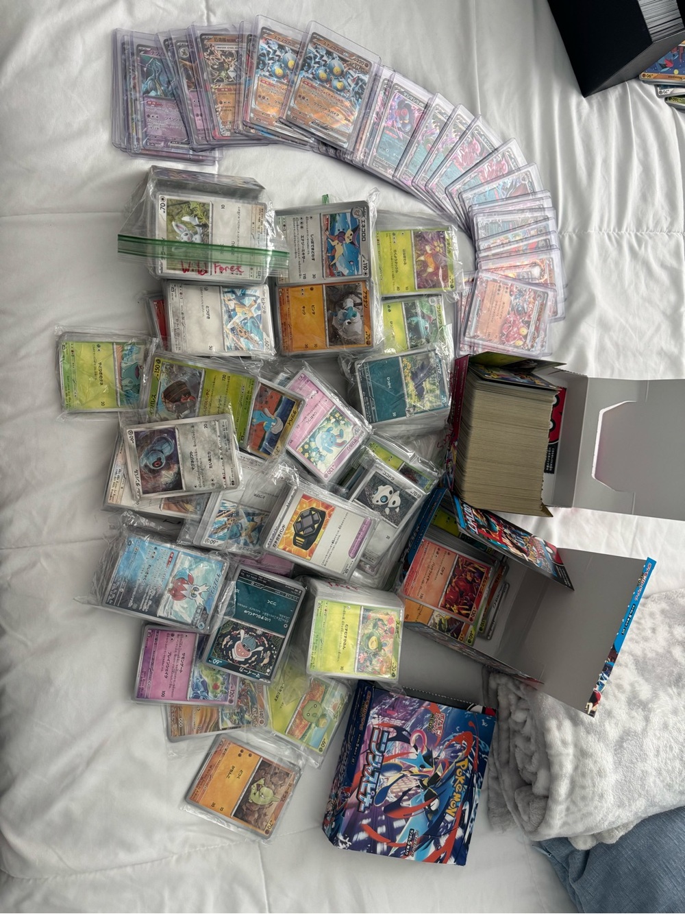 Pokémon Card MEGA Bulk Lot – 1,000 Random Cards 🔥